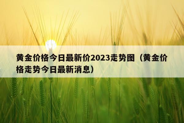 黄金价格今日最新价2023走势图（黄金价格走势今日最新消息）