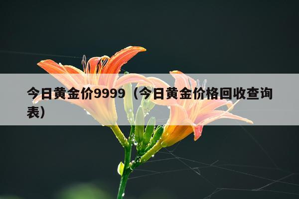 今日黄金价9999(今日黄金价格回收查询表)