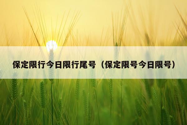 保定限行今日限行尾号(保定限号今日限号)