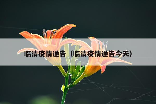 临清疫情通告(临清疫情通告今天)