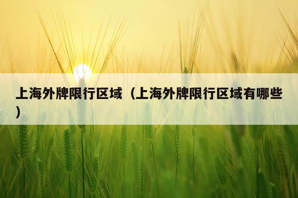 上海外牌限行区域（上海外牌限行区域有哪些）