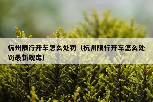 杭州限行开车怎么处罚(杭州限行开车怎么处罚最新规定)