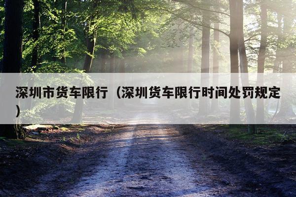深圳市货车限行(深圳货车限行时间处罚规定)