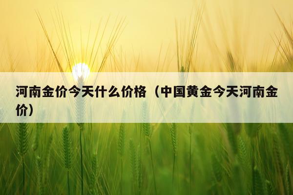 河南金价今天什么价格(中国黄金今天河南金价)