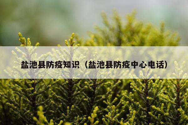 盐池县防疫知识(盐池县防疫中心电话)