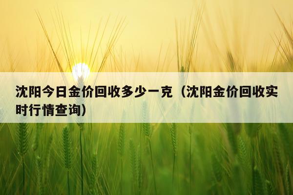 沈阳今日金价回收多少一克(沈阳金价回收实时行情查询)
