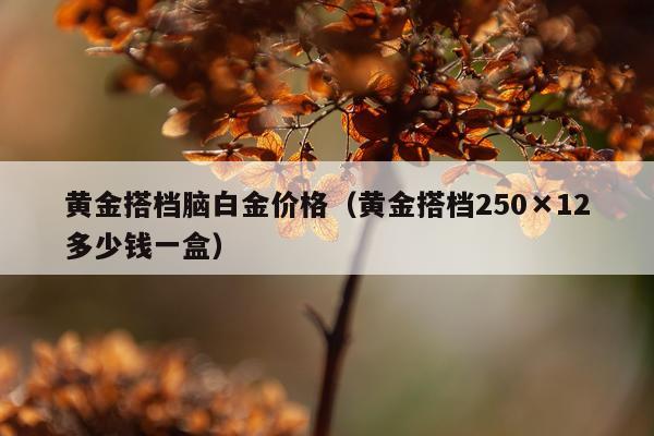 黄金搭档脑白金价格(黄金搭档250×12多少钱一盒)