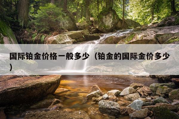 国际铂金价格一般多少(铂金的国际金价多少)
