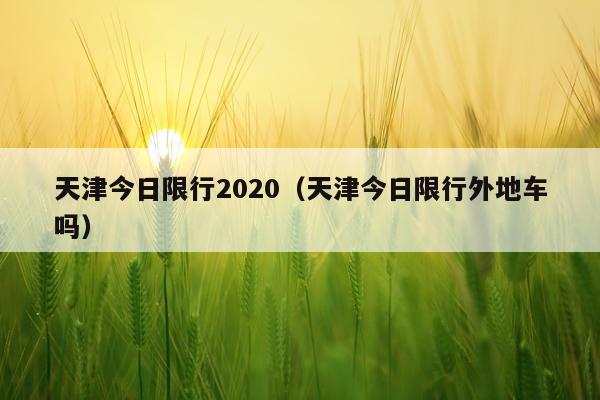 天津今日限行2020(天津今日限行外地车吗)
