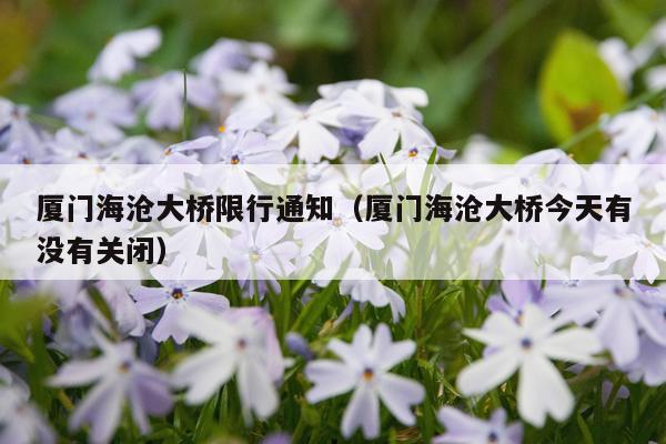 厦门海沧大桥限行通知（厦门海沧大桥今天有没有关闭）