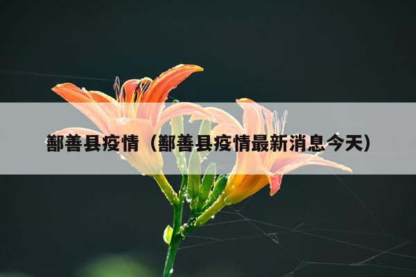 鄯善县疫情（鄯善县疫情最新消息今天）