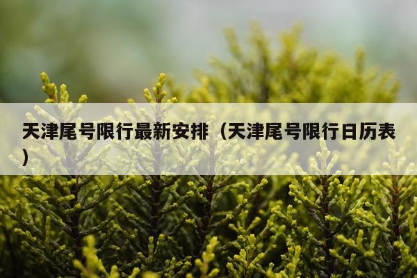 天津尾号限行最新安排（天津尾号限行日历表）