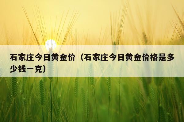 石家庄今日黄金价(石家庄今日黄金价格是多少钱一克)