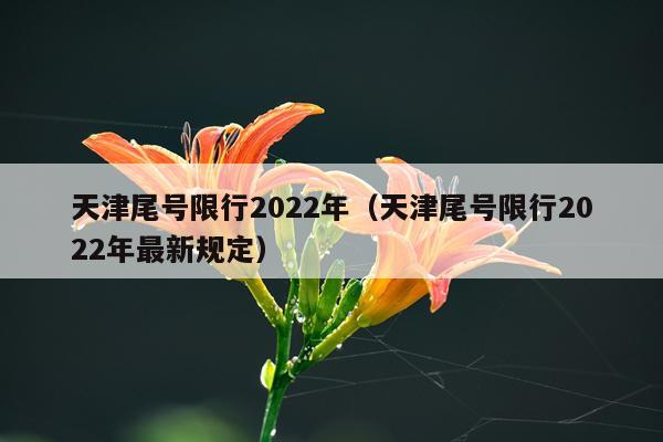 天津尾号限行2022年(天津尾号限行2022年最新规定)