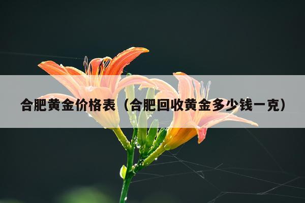 合肥黄金价格表(合肥回收黄金多少钱一克)