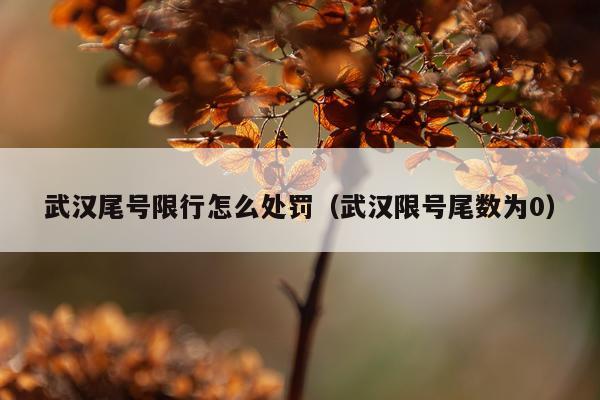 武汉尾号限行怎么处罚(武汉限号尾数为0)