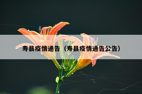 寿县疫情通告（寿县疫情通告公告）