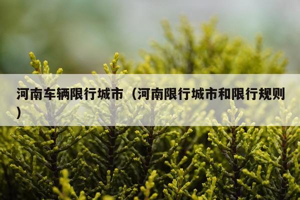 河南车辆限行城市(河南限行城市和限行规则)