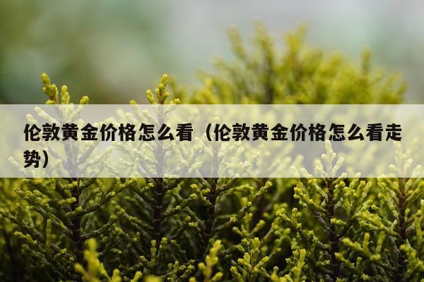 伦敦黄金价格怎么看（伦敦黄金价格怎么看走势）