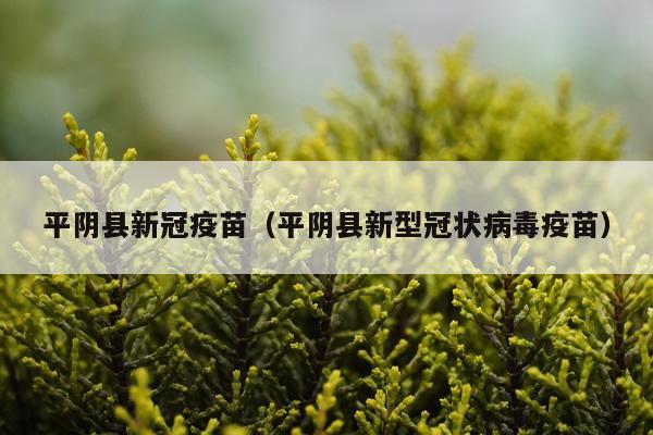 平阴县新冠疫苗（平阴县新型冠状病毒疫苗）