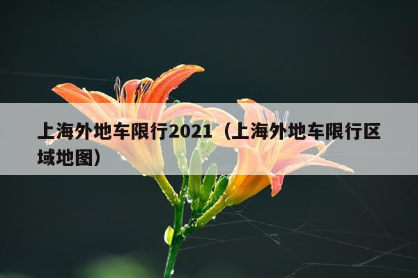 上海外地车限行2021(上海外地车限行区域地图)