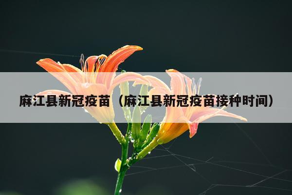 麻江县新冠疫苗（麻江县新冠疫苗接种时间）