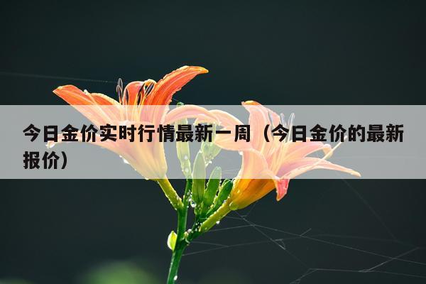 今日金价实时行情最新一周(今日金价的最新报价)