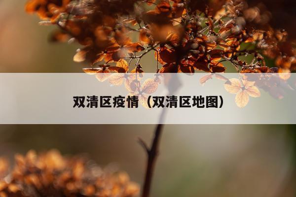 双清区疫情（双清区地图）