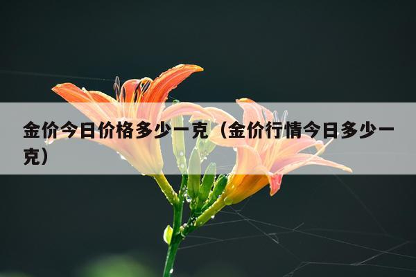 金价今日价格多少一克（金价行情今日多少一克）