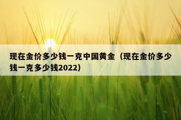 现在金价多少钱一克中国黄金（现在金价多少钱一克多少钱2022）