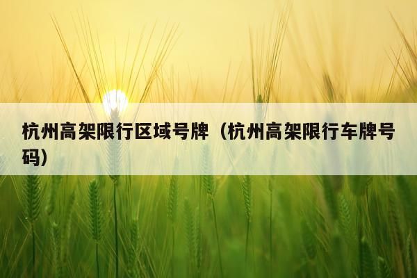 杭州高架限行区域号牌(杭州高架限行车牌号码)