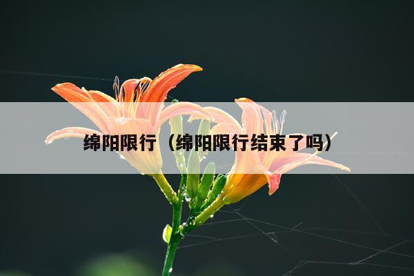 绵阳限行（绵阳限行结束了吗）