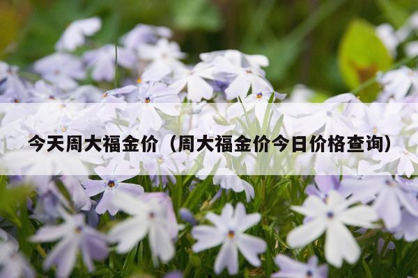 今天周大福金价（周大福金价今日价格查询）
