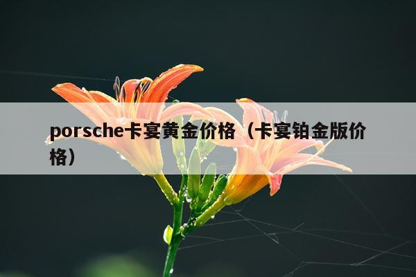 porsche卡宴黄金价格(卡宴铂金版价格)