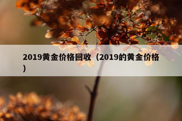 2019黄金价格回收（2019的黄金价格）