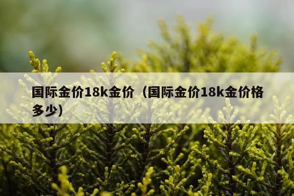 国际金价18k金价（国际金价18k金价格多少）