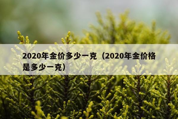 2020年金价多少一克（2020年金价格是多少一克）