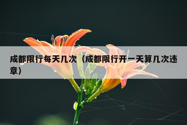 成都限行每天几次(成都限行开一天算几次违章)