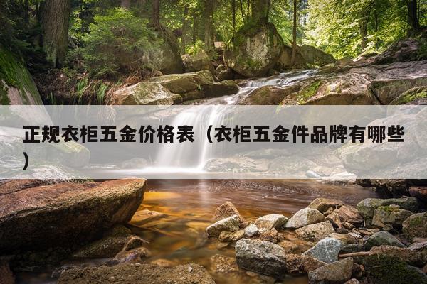 正规衣柜五金价格表(衣柜五金件品牌有哪些)
