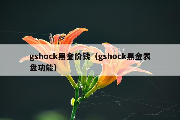gshock黑金价钱(gshock黑金表盘功能)
