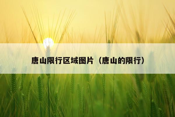 唐山限行区域图片（唐山的限行）