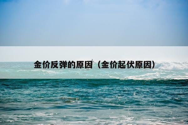 金价反弹的原因(金价起伏原因)