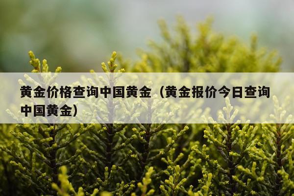 黄金价格查询中国黄金(黄金报价今日查询 中国黄金)