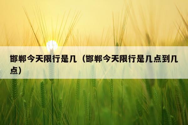 邯郸今天限行是几（邯郸今天限行是几点到几点）