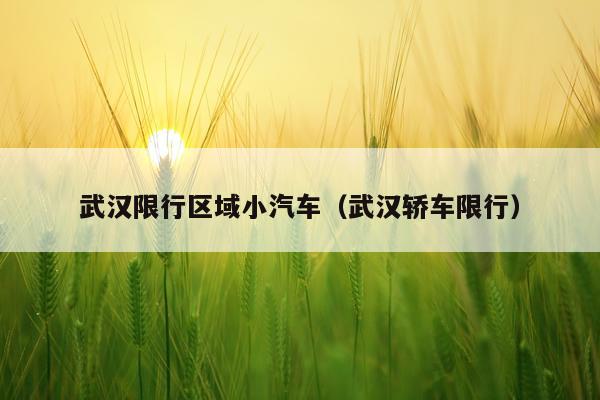 武汉限行区域小汽车(武汉轿车限行)