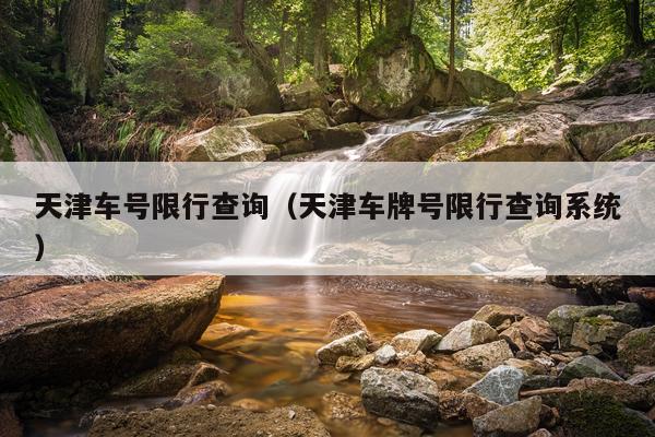 天津车号限行查询(天津车牌号限行查询系统)