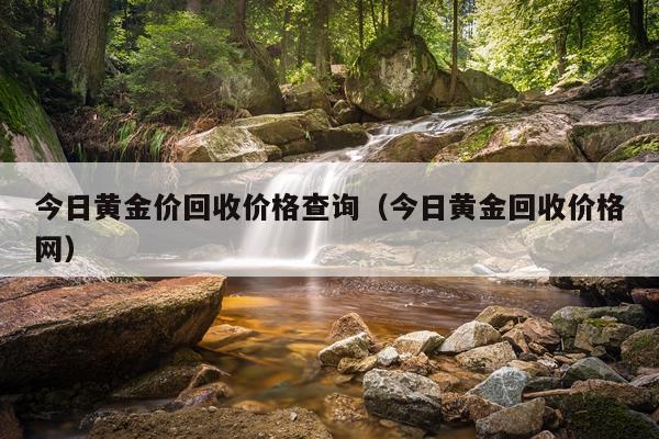 今日黄金价回收价格查询(今日黄金回收价格网)