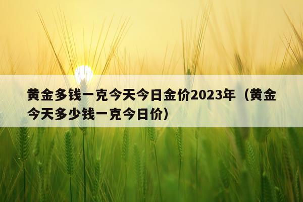 黄金多钱一克今天今日金价2023年（黄金今天多少钱一克今日价）