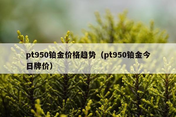 pt950铂金价格趋势(pt950铂金今日牌价)