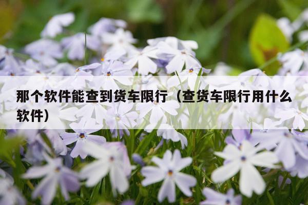 那个软件能查到货车限行（查货车限行用什么软件）